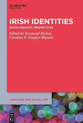 Amador-Moreno / Hickey | Irish Identities | Buch | 978-1-5015-1610-8 | sack.de
