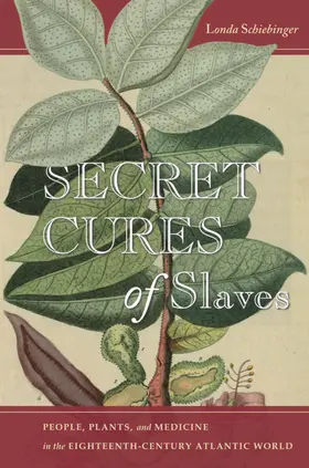 Schiebinger |  Secret Cures of Slaves | eBook | Sack Fachmedien