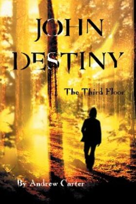Carter |  John Destiny | eBook | Sack Fachmedien
