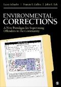 Schaefer / Cullen / Eck |  Environmental Corrections | eBook | Sack Fachmedien