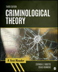 Tibbetts / Hemmens |  Criminological Theory | Buch |  Sack Fachmedien