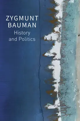 Bauman / Davis / Palmer |  History and Politics | Buch |  Sack Fachmedien
