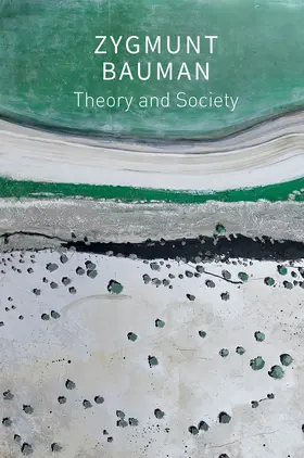 Bauman / Campbell / Brzezinski |  Theory and Society | Buch |  Sack Fachmedien
