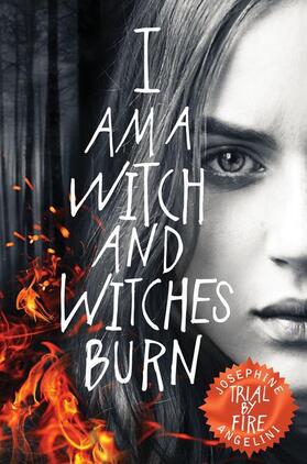 Angelini |  Trial By Fire | Buch |  Sack Fachmedien