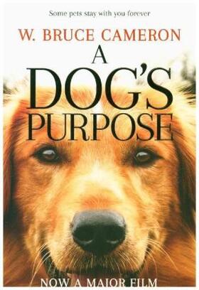 Bruce Cameron |  A Dog's Purpose | Buch |  Sack Fachmedien