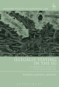 Queiroz |  Illegally Staying in the Eu: An Analysis of Illegality in Eu Migration Law | Buch |  Sack Fachmedien