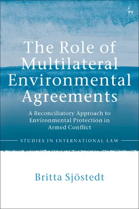 Sjostedt |  The Role of Multilateral Environmental Agreements | Buch |  Sack Fachmedien