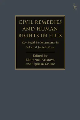 Aristova / Grusic |  Civil Remedies and Human Rights in Flux | Buch |  Sack Fachmedien