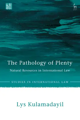 Kulamadayil |  The Pathology of Plenty | Buch |  Sack Fachmedien