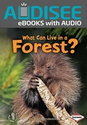 Anderson |  What Can Live in a Forest? | eBook | Sack Fachmedien