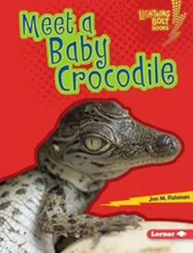 Fishman |  Meet a Baby Crocodile | eBook | Sack Fachmedien