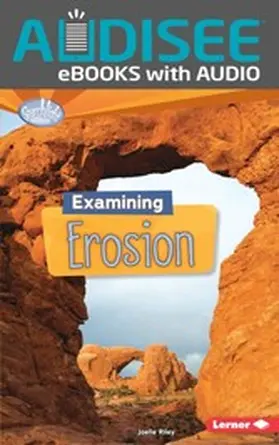 Riley |  Examining Erosion | eBook | Sack Fachmedien