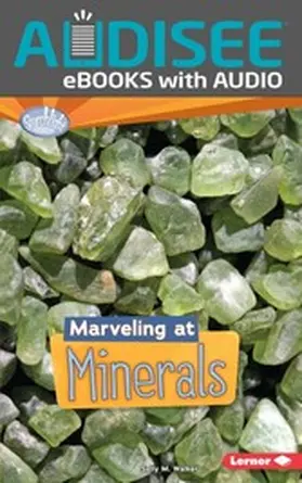 Walker |  Marveling at Minerals | eBook | Sack Fachmedien