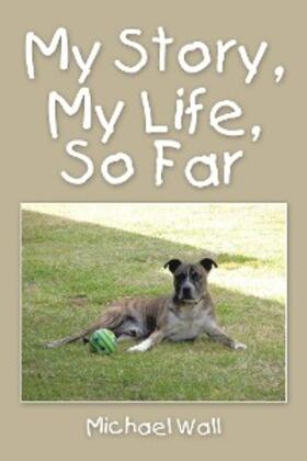 Wall |  My Story, My Life, so Far | eBook | Sack Fachmedien