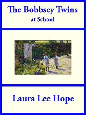 Hope |  The Bobbsey Twins at School | eBook | Sack Fachmedien
