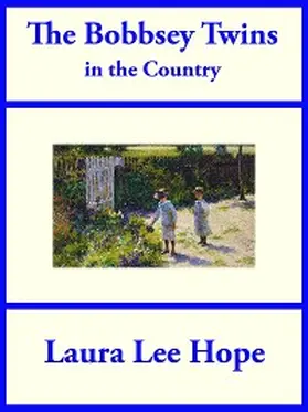 Hope |  The Bobbsey Twins in the Country | eBook | Sack Fachmedien