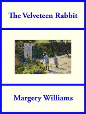 Williams |  The Velveteen Rabbit | eBook | Sack Fachmedien