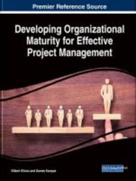 Karayaz / Silvius | Developing Organizational Maturity for Effective Project Management | Buch | 978-1-5225-3197-5 | sack.de