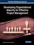 Karayaz / Silvius |  Developing Organizational Maturity for Effective Project Management | Buch |  Sack Fachmedien
