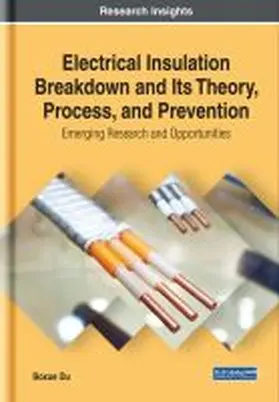 Du |  Electrical Insulation Breakdown and Its Theory, Process, and Prevention | Buch |  Sack Fachmedien