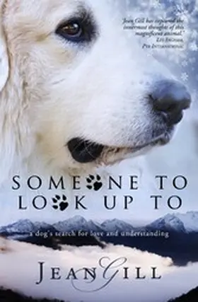 Gill |  Someone To Look Up To | eBook | Sack Fachmedien