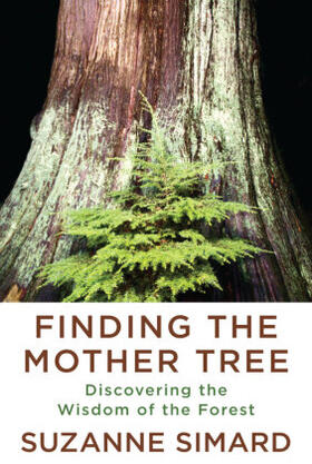 Simard |  Finding the Mother Tree | Buch |  Sack Fachmedien