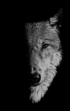 George / Unknown / Hughes |  In the company of wolves | eBook | Sack Fachmedien