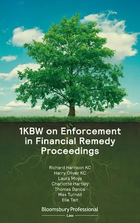 KC / Oliver / Moys |  1kbw on Enforcement in Financial Remedy Proceedings | Buch |  Sack Fachmedien