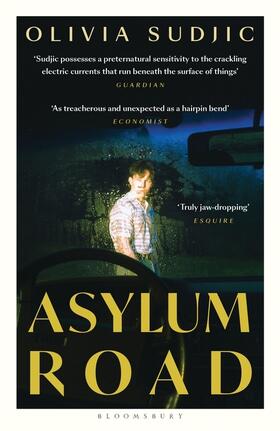 Sudjic |  Asylum Road | Buch |  Sack Fachmedien