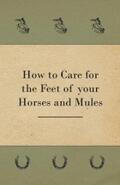 Anon. |  How to Care for the Feet of your Horses and Mules | eBook | Sack Fachmedien