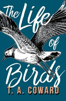 Coward |  The Life of Birds | eBook | Sack Fachmedien