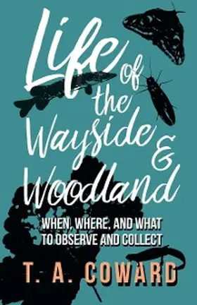 Coward |  Life of the Wayside and Woodland | eBook | Sack Fachmedien