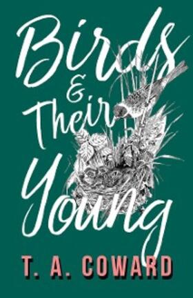 Coward |  Birds and Their Young | eBook | Sack Fachmedien