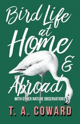 Coward |  Bird Life at Home and Abroad - With Other Nature Observations | eBook | Sack Fachmedien