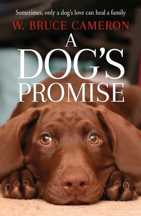 Bruce Cameron |  A Dog's Promise | Buch |  Sack Fachmedien