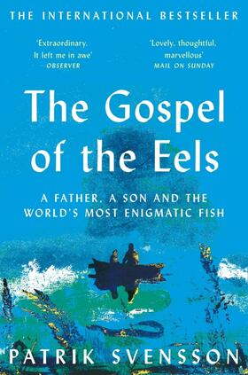 Svensson |  The Gospel of the Eels | Buch |  Sack Fachmedien