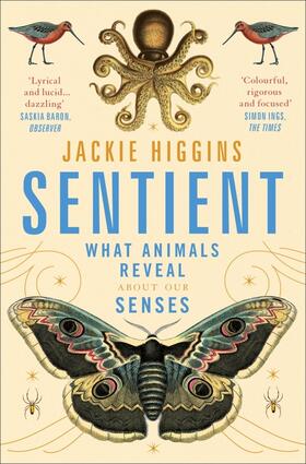Higgins |  Sentient | Buch |  Sack Fachmedien