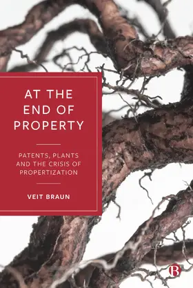 Braun | At the End of Property | E-Book | sack.de