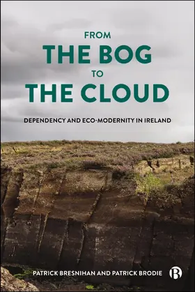 Bresnihan / Brodie |  From the Bog to the Cloud | Buch |  Sack Fachmedien