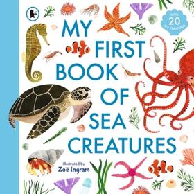  My First Book of Sea Creatures | Buch |  Sack Fachmedien