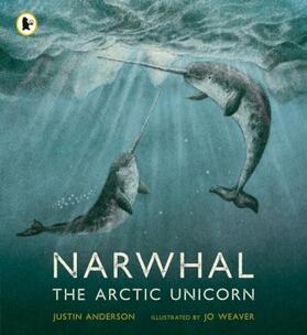Anderson |  Narwhal: The Arctic Unicorn | Buch |  Sack Fachmedien