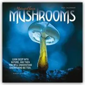 Carousel Calendar |  Mushrooms - Pilze 2027 - Wand-Kalender | Sonstiges |  Sack Fachmedien