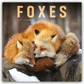 Carousel Calendar |  Foxes - Füchse 2027 - Wand-Kalender | Sonstiges |  Sack Fachmedien