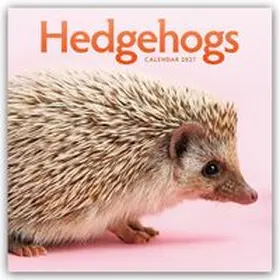 Carousel Calendar |  Hedgehogs - Igel 2027 - Wand-Kalender | Sonstiges |  Sack Fachmedien