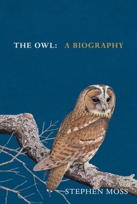 Moss |  The Owl | Buch |  Sack Fachmedien