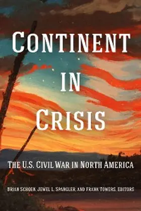 Schoen / Spangler / Towers |  Continent in Crisis | eBook | Sack Fachmedien