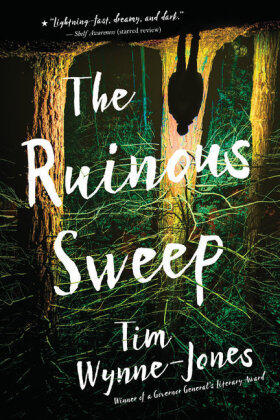 Wynne-Jones |  The Ruinous Sweep | Buch |  Sack Fachmedien