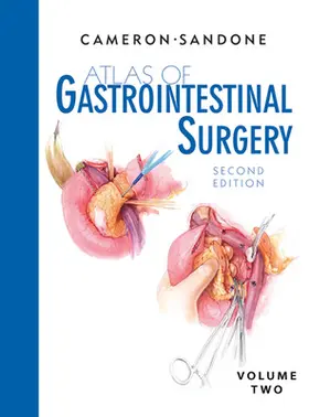 Cameron / Sandone |  Atlas of Gastrointestinal Surgery (2 Vol.) | Buch |  Sack Fachmedien