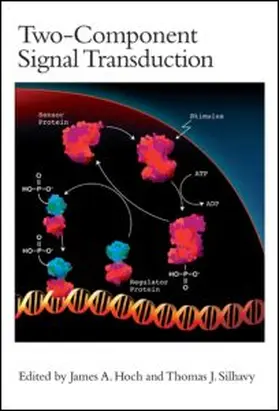 Hoch / Silhavy |  Two-Component Signal Transduction | Buch |  Sack Fachmedien