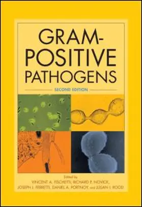Fischetti / Novick / Ferretti | Gram-Positive Pathogens | Buch | 978-1-55581-343-7 | www.sack.de